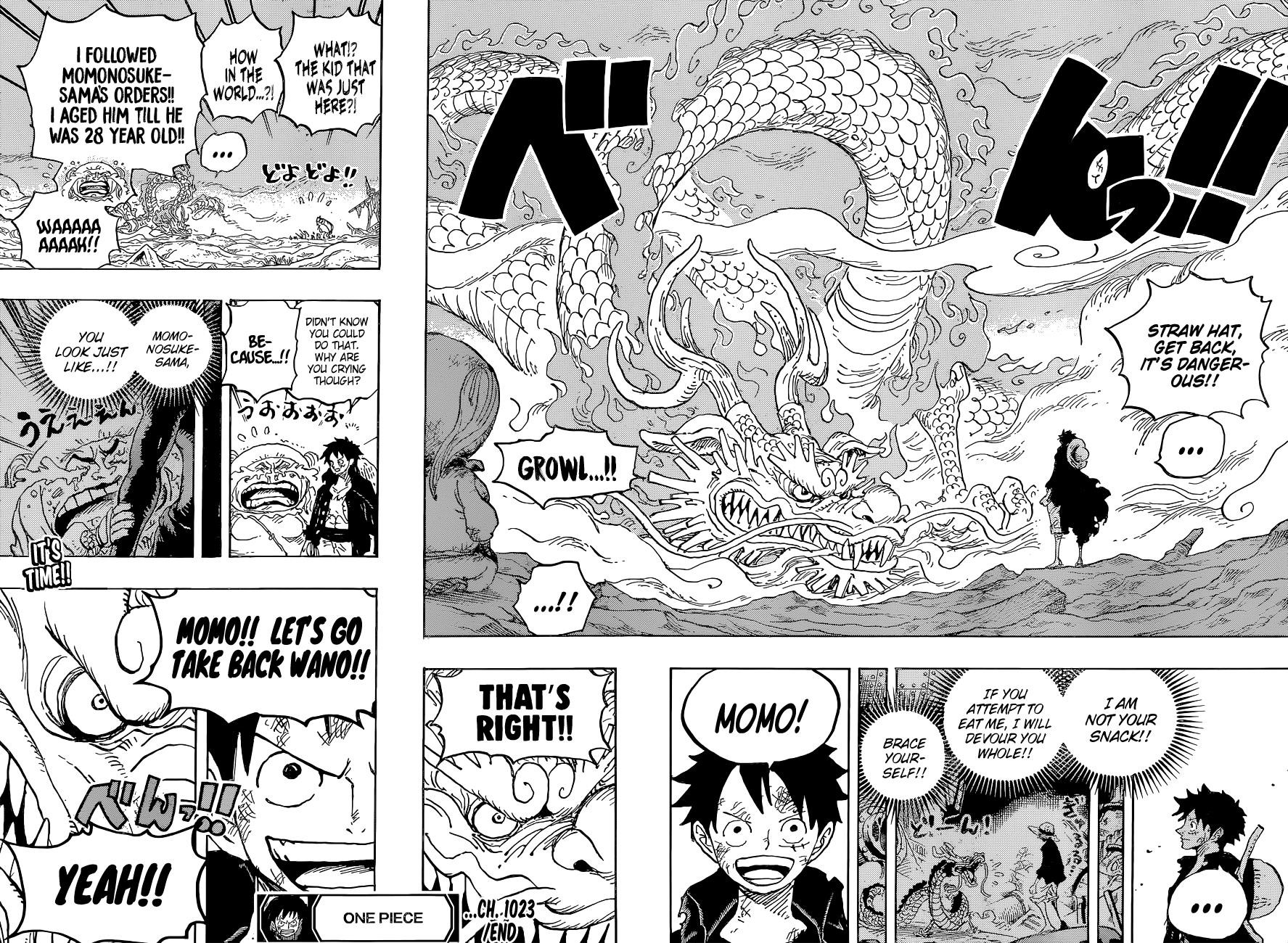 One Piece - Chapter 1023 Page 17