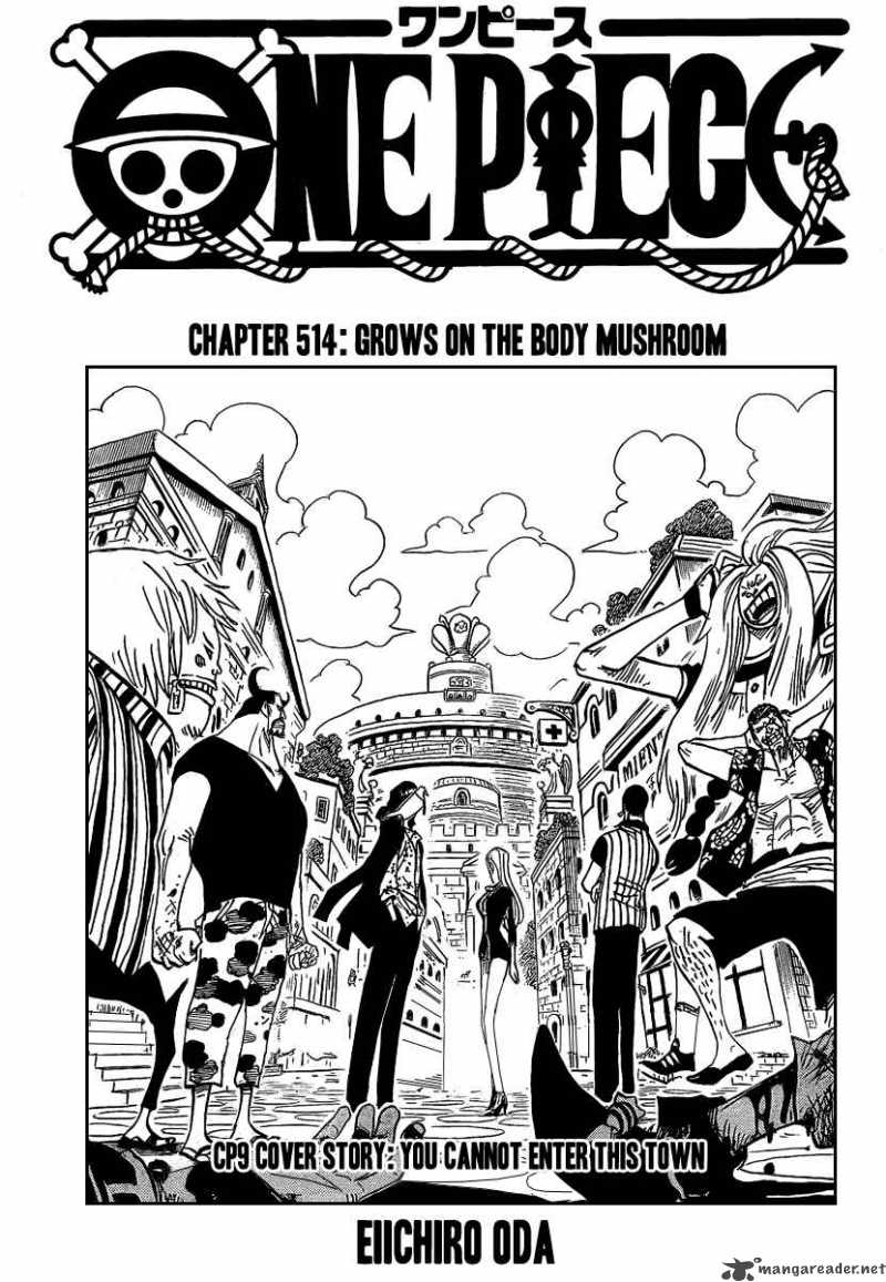 One Piece - Chapter 514 Page 1